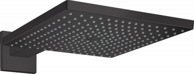 Верхний душ Hansgrohe Raindance E 300 1jet 26238670