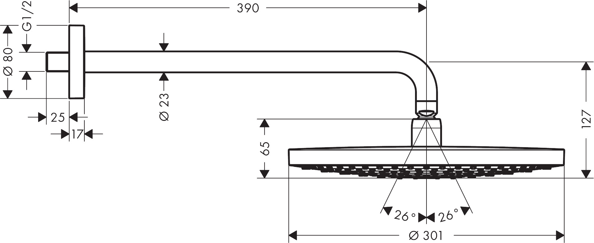 Верхний душ Hansgrohe Raindance Select S 300 2jet с держателем 27378000