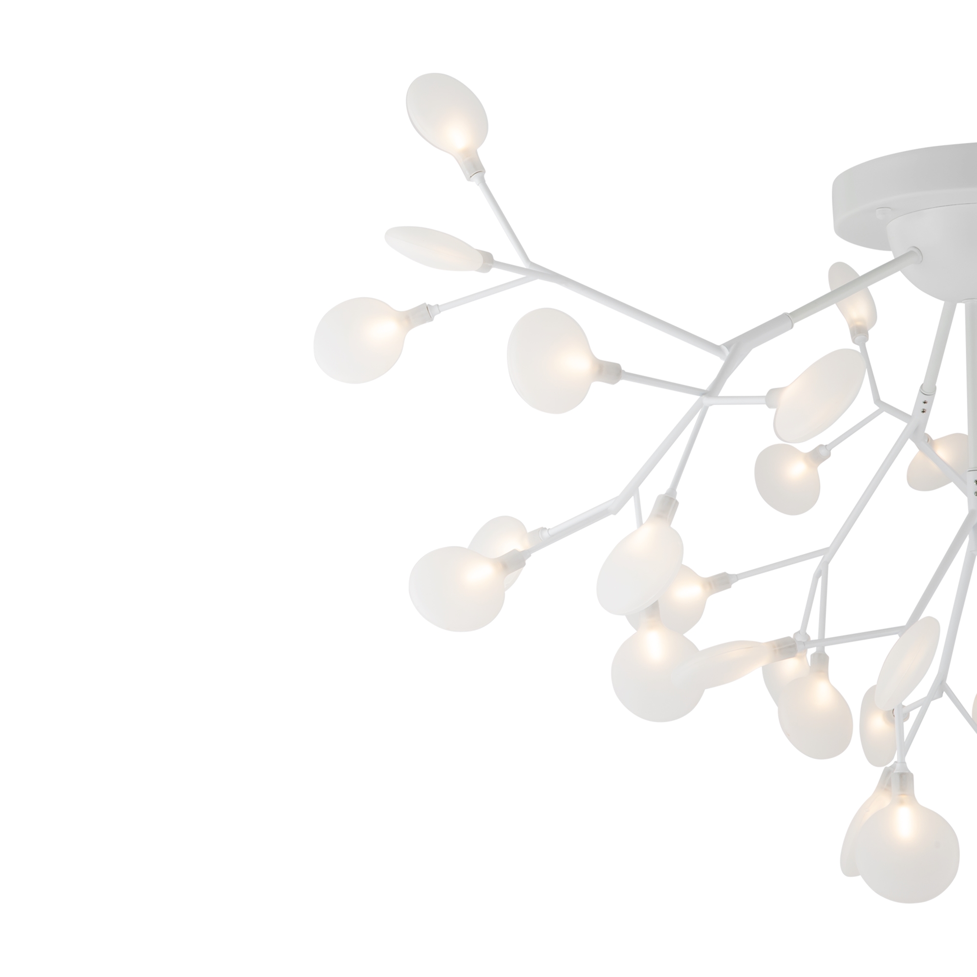 Freya Florencia Потолочный светильник FR5049CL-36W1