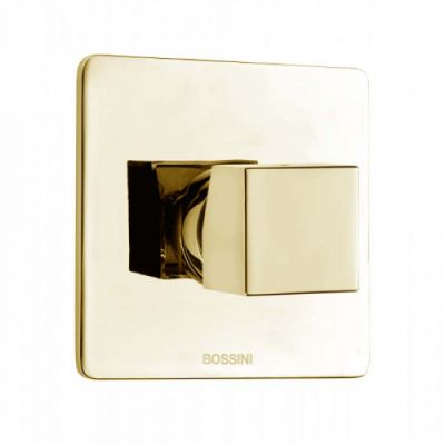 Bossini Cube Смеситель для душа на 1 выход , цвет:  Золото Z00064.021