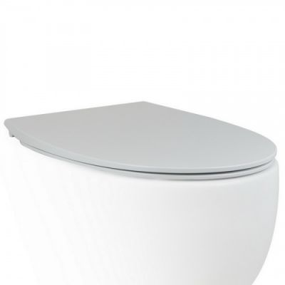 АеТ Dot 2.0 C555R101 Крышка с сиденьем механизм soft-close, цвет белый матовый