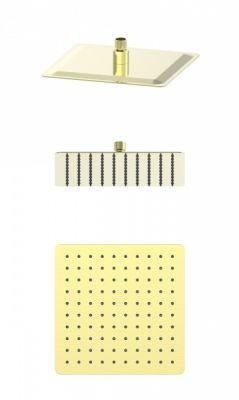 Верхний душ 250x250 WONZON & WOGHAND, Брашированное золото (WW-88DP06-BG)